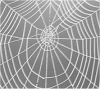 Custom Web Site Design and Creation
